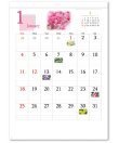 画像2: 四季の花もよう  ＠460円〜(税込)