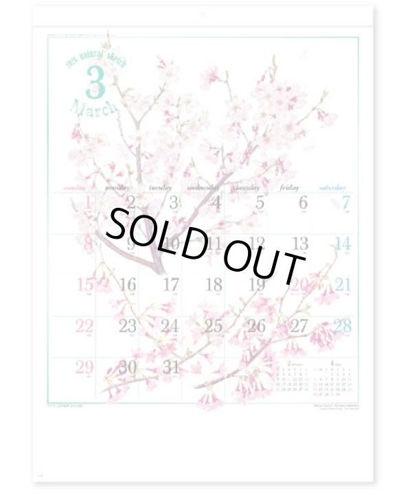 画像2: ナチュラル スケッチ  ＠460円〜(税込)