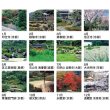 画像4: 詩情・庭メモリー＠515円〜(税込)