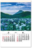 画像3: 四季光耀（フィルム）  ＠970円〜(税込)