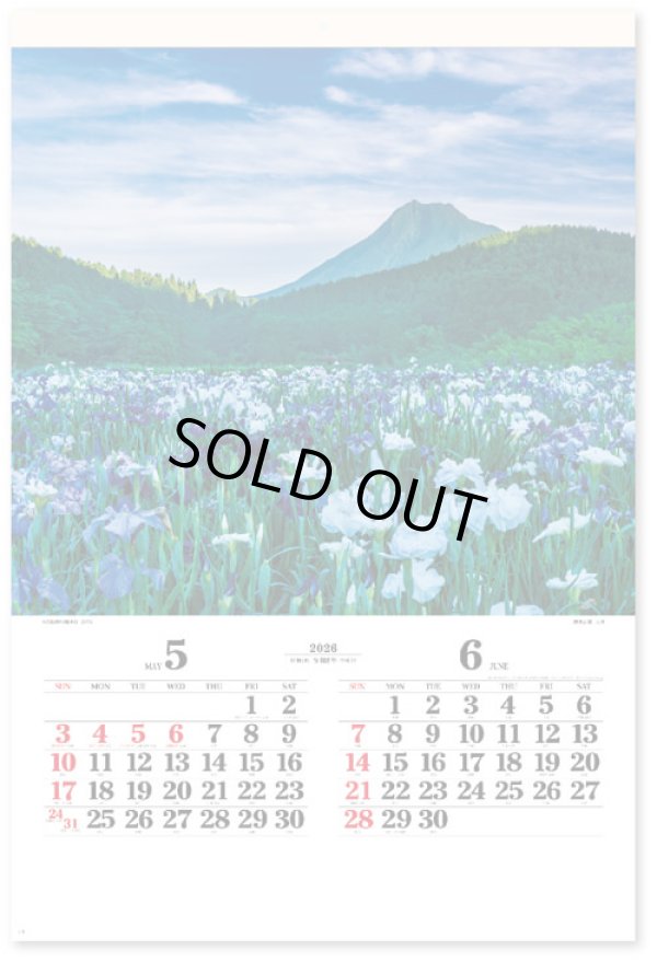 画像3: 四季光耀（フィルム）  ＠970円〜(税込)