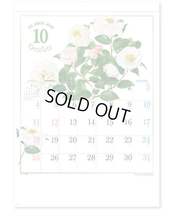 画像4: ナチュラル スケッチ  ＠460円〜(税込)