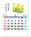 画像2: 花ごよみ  ＠495円〜(税込)