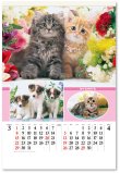 画像2: マイペット　(フィルム）＠970円〜(税込)