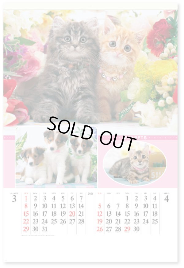 画像2: マイペット　(フィルム）＠970円〜(税込)