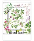 画像1: ナチュラル スケッチ  ＠460円〜(税込)