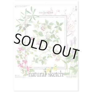 画像: ナチュラル スケッチ  ＠460円〜(税込)