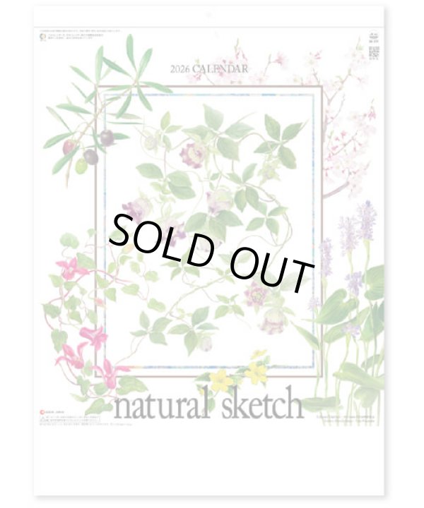 画像1: ナチュラル スケッチ  ＠460円〜(税込)