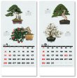 画像2: 自然愛<盆栽>＠595円〜(税込)