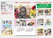 画像5: マイペット　(フィルム）＠970円〜(税込)