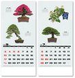 画像3: 自然愛<盆栽>＠595円〜(税込)