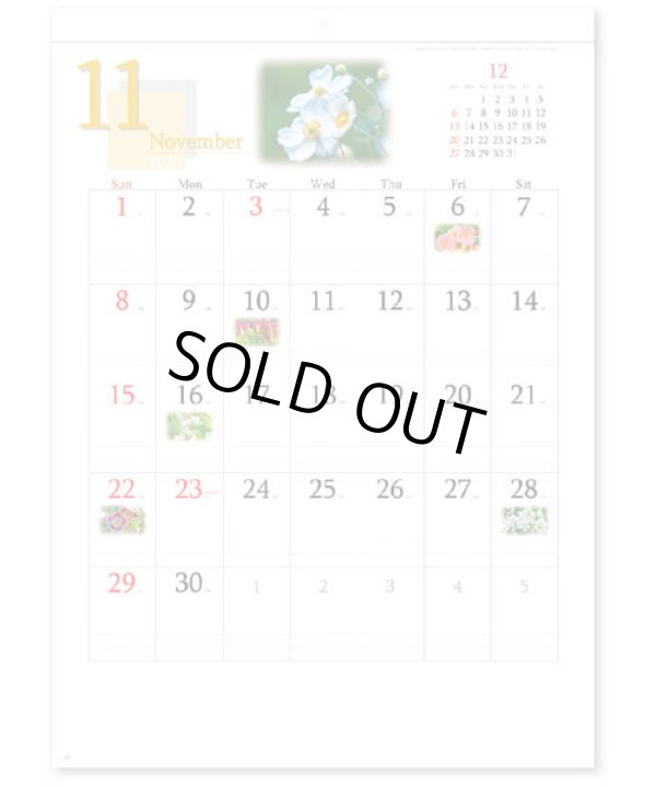 画像4: 四季の花もよう  ＠460円〜(税込)