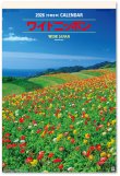 画像1: ワイドニッポン（フィルム）  ＠924円〜(税込)