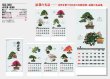 画像5: 自然愛<盆栽>＠595円〜(税込)