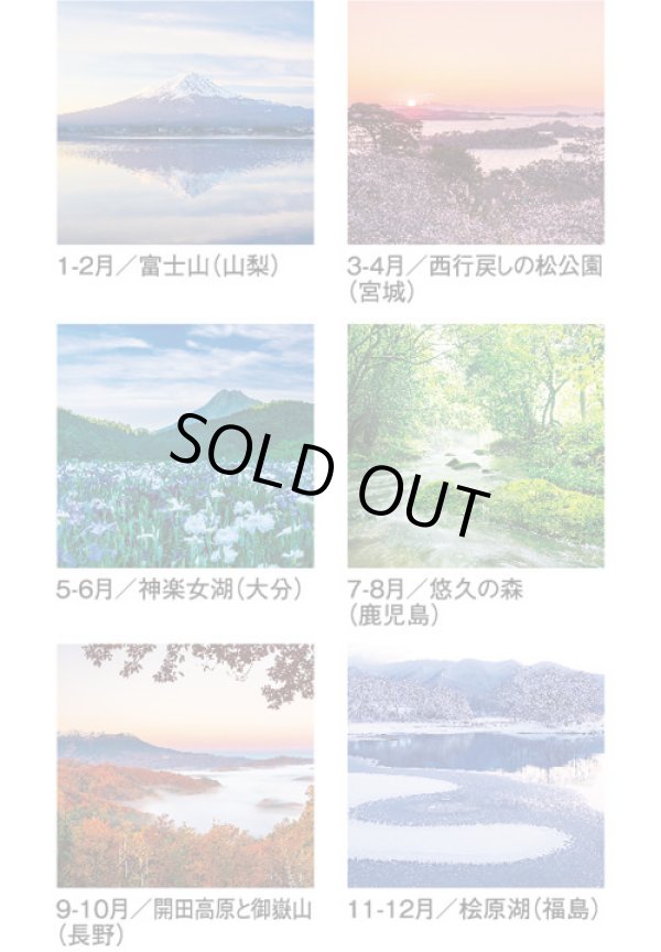 画像4: 四季光耀（フィルム）  ＠970円〜(税込)