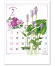 画像3: ナチュラル スケッチ  ＠460円〜(税込)