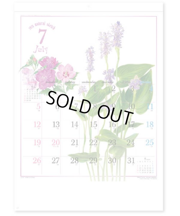 画像3: ナチュラル スケッチ  ＠460円〜(税込)