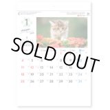 画像: わんmoreにゃん（壁掛けA4ミニ）＠260円〜(税込)