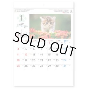 画像: わんmoreにゃん（壁掛けA4ミニ）＠260円〜(税込)