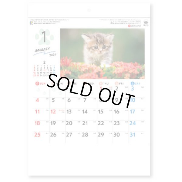 画像1: わんmoreにゃん（壁掛けA4ミニ）＠260円〜(税込)