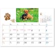 画像2: キャット＆ドッグ(エコペーパーリング）＠466円〜(税込)
