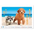 画像4: 卓上 すまいる＠560円〜(税込)