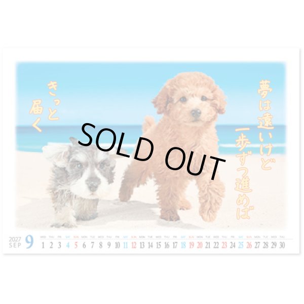画像4: 卓上 すまいる＠560円〜(税込)