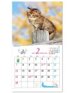 画像3: キュート（CUTE)  100冊＠415円〜(税込)