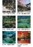 画像4: 名苑（フィルム）  ＠924円〜(税込)