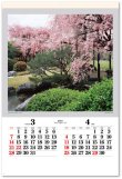 画像2: 庭・四季詩情（フィルム）  ＠970円〜(税込)