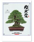画像1: 自然愛<盆栽>＠430円〜(税込)
