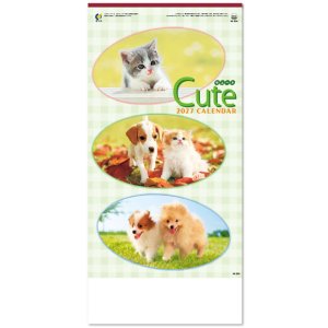 画像: キュート（CUTE)  100冊＠415円〜(税込)