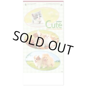 画像: キュート（CUTE)  100冊＠395円〜(税込)