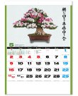 画像2: 自然愛<盆栽>＠430円〜(税込)