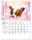 画像2: すまいる ＠575円〜(税込)
