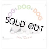 画像: DOG DOG DOG  ＠495円〜(税込)