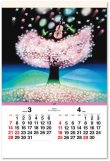 画像3: 光と影のメルヘン　（フィルム）  ＠970円〜(税込)