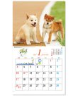 画像2: キュート（CUTE)  100冊＠415円〜(税込)