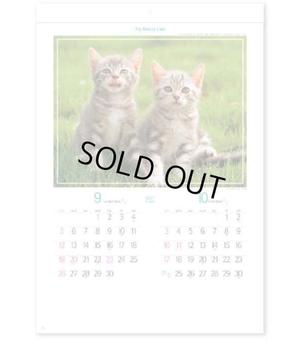 画像3: マイ　スウィーティ―　キャット＠309円〜(税込)
