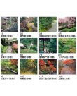 画像4: 庭・四季詩情 ＠495円〜(税込)