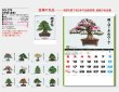 画像5: 自然愛<盆栽>＠430円〜(税込)