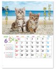 画像3: すまいる ＠575円〜(税込)