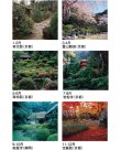 画像4: 庭の心＜７枚＞　＠299円〜(税込)