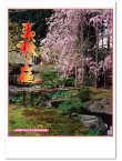 画像1: 春秋の庭〈A2切〉　＠620円〜(税込)