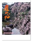 画像1: 庭の心＜７枚＞　＠299円〜(税込)