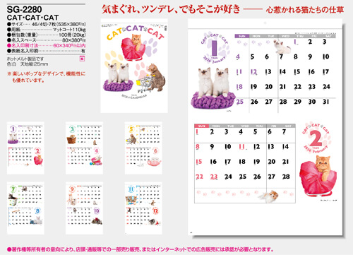 画像5: CAT・CAT・CAT 　＠390円〜(税込)