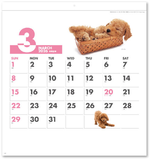 画像2: DOG DOG DOG  ＠495円〜(税込)