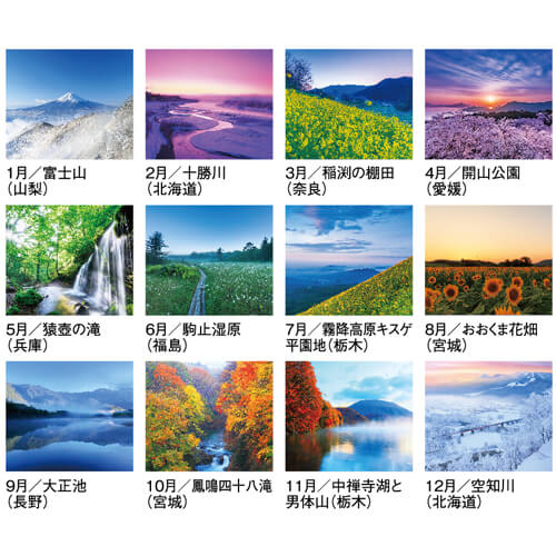画像4: 四季十二彩＠595円〜(税込)