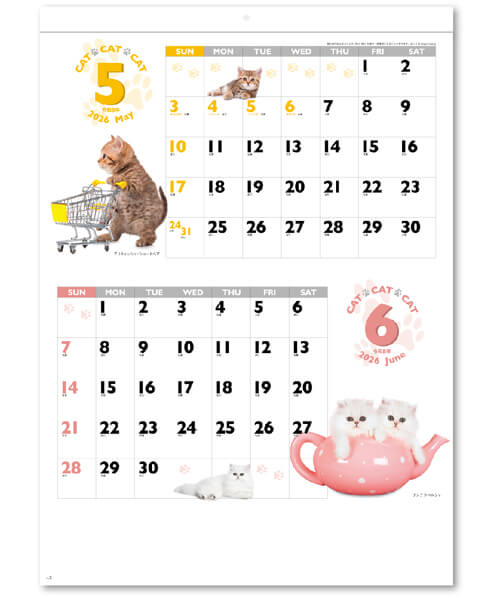 画像2: CAT・CAT・CAT 　＠390円〜(税込)