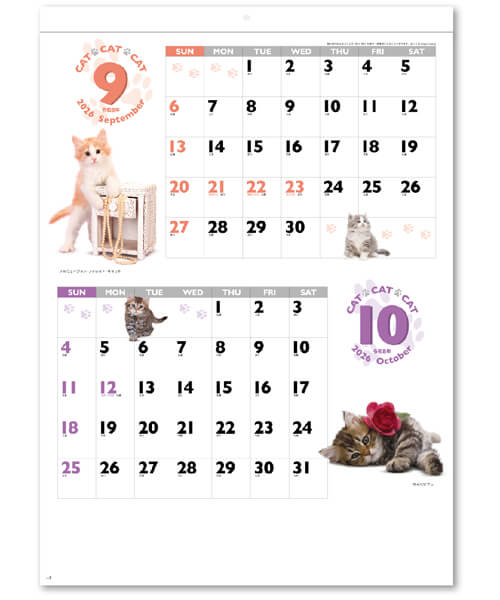 画像4: CAT・CAT・CAT 　＠390円〜(税込)